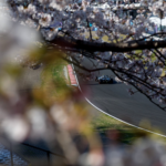 Grand Prix Japonii 2026